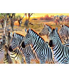 Puzzle SunsOut Zebras Und Freunde XXL 500 Teile