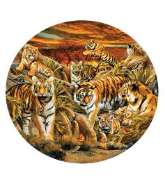 SunsOut Rundpuzzle Tigerherde XXL 500 Teile