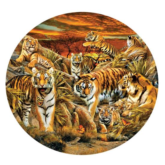 SunsOut Rundpuzzle Tigerherde XXL 500 Teile