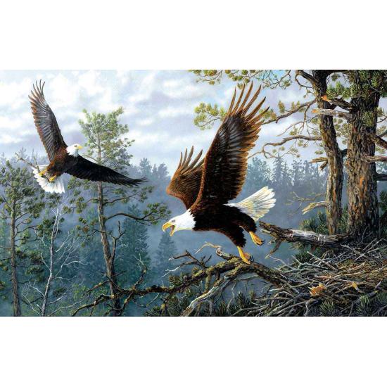 SunsOut Puzzle Owners of the Skies 1000 Teile