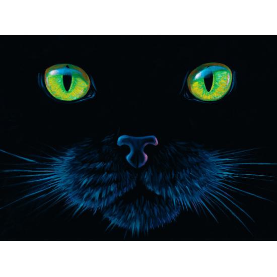 SunsOut Schwarze Katze Puzzle 1000 Teile