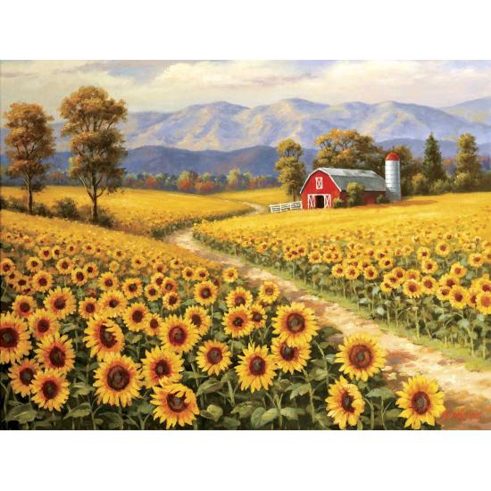 SunsOut Red River Sonnenblumenfarm XXL 300-teiliges Puzzle