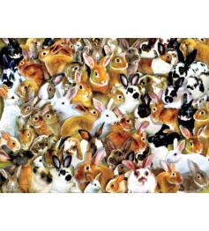 SunsOut Puzzlegruppe Kaninchen mit 1000 Teilen