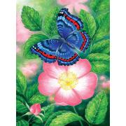 SunsOut Puzzle Der blaue Schmetterling mit 1000 Teilen