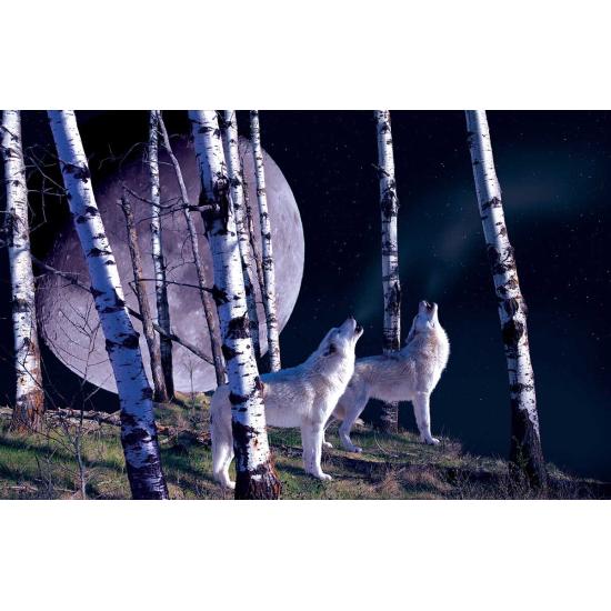 SunsOut Nachtruf-Puzzle 1000 Teile