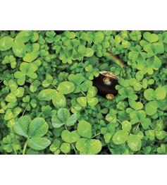SunsOut The Clovers Challenge 1000-teiliges Puzzle