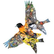 SunsOut Oriole Birds Puzzle 1000 Teile