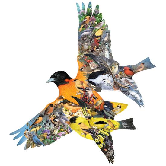 SunsOut Oriole Birds Puzzle 1000 Teile