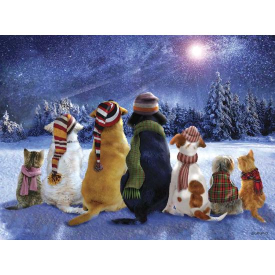 SunsOut Puzzle Ask the Falling Star 1000 Teile