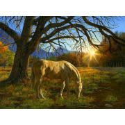 SunsOut Country Sunset Puzzle 1000 Teile