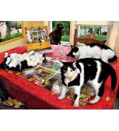 SunsOut Who Let the Cats Out Puzzle 1000 Teile