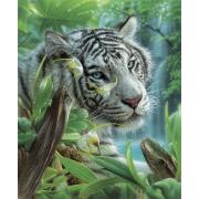 SunsOut Weißer Tiger von Eden Puzzle 1000 Teile