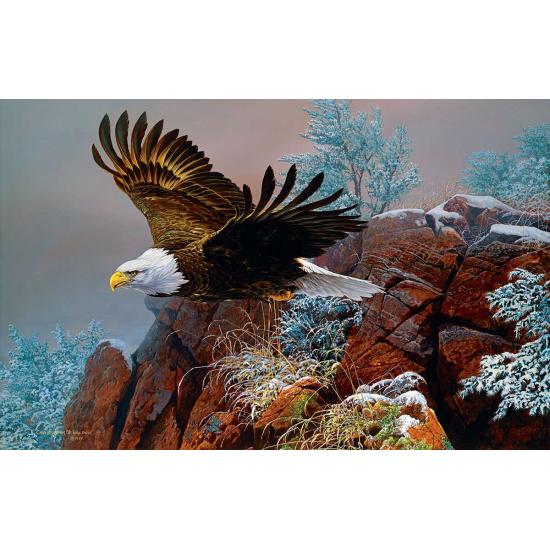 SunsOut Adler im Wind Puzzle 1000 Teile