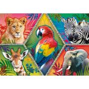 Trefl Exotische Tiere Puzzle 1000 Teile