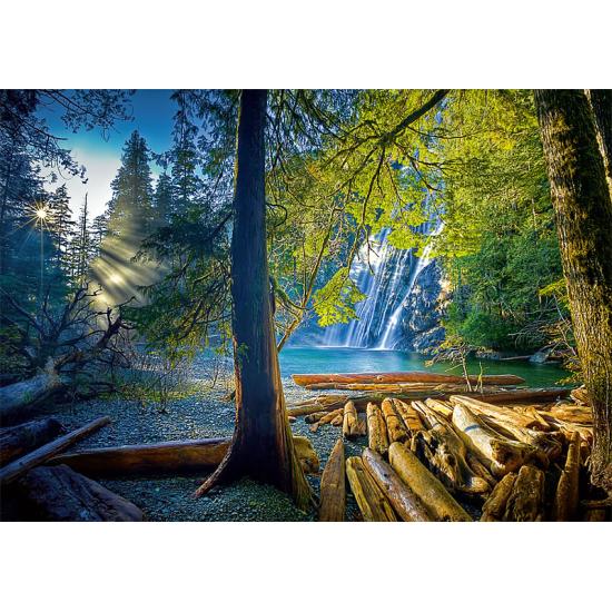 Trefl Geheimnisvoller Wald Puzzle 1000 Teile