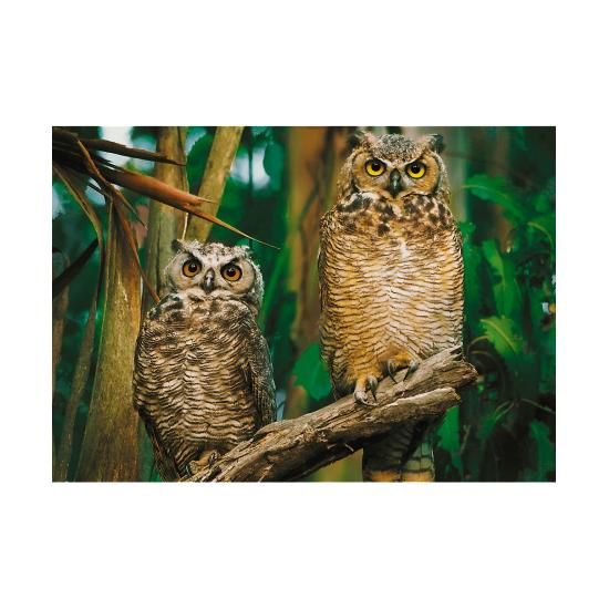 Trefl Eulen Puzzle 1000 Teile