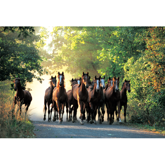 Trefl Puzzle Galoppierende Pferde 1000 Teile