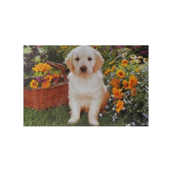 Trefl Puzzle Labrador-Welpe im Garten 500 Teile