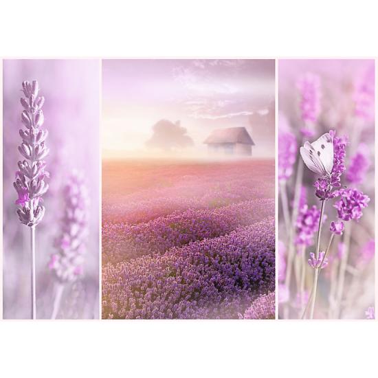 Trefl Lavendelfelder Puzzle 1000 Teile