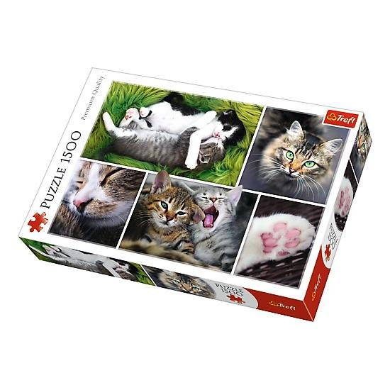 Trefl Cat Things Puzzle 1500 Teile