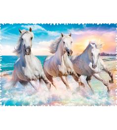 Puzzle Trefl Verrückte Formen galoppieren zwischen den Wellen mi