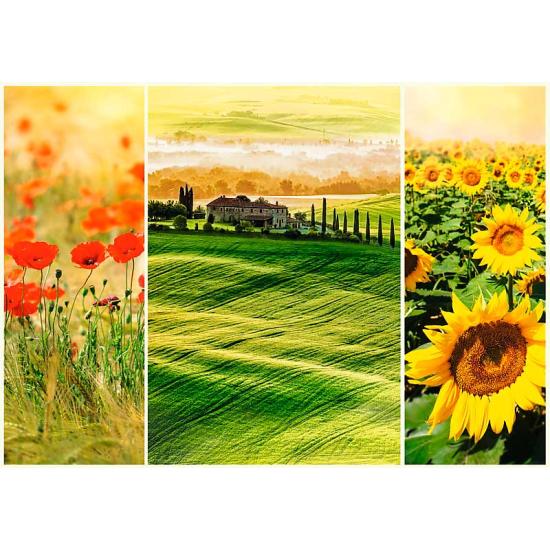 Trefl Puzzle Die Sonne der Toskana 1000 Teile