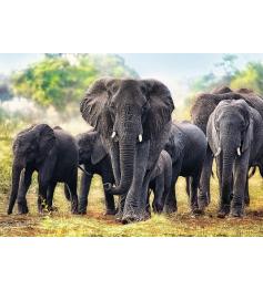 Trefl Puzzle Afrikanische Elefanten 1000 Teile