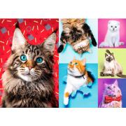 Trefl Happy Cats Puzzle 1000 Teile