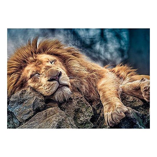 Trefl Schlafender Löwe Puzzle 1000 Teile