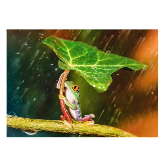 Trefl Grüner Regenschirm Puzzle 500 Teile Trefl Grüner Regenschirm Puzzle 500 Teile