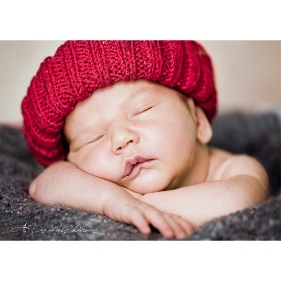 Trefl Puzzle Little Siesta 500 Teile