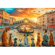 Puzzle Trefl Hunde In Venedig 1000 Teile