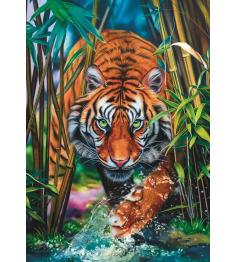 Trefl Puzzle Tiger unter den Gräsern mit 1000 Teilen